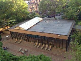 radcurls profile photo