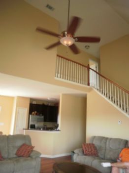 catdiane19 profile photo