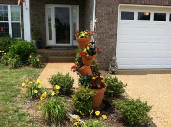 catdiane19 profile photo