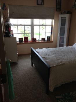 mhonan213 profile photo