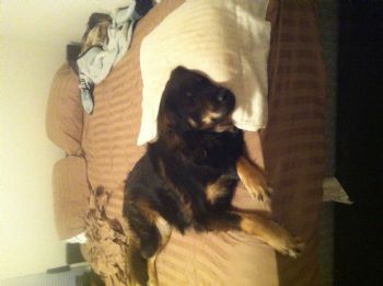 Rxguru10 profile photo