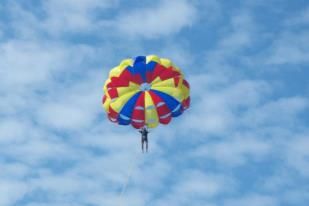 germany9 profile photo