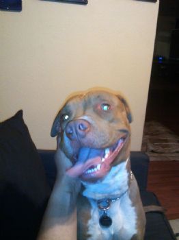 jfraser profile photo