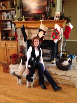 pk6252013 profile photo