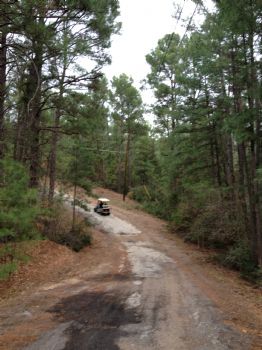 pk6252013 profile photo