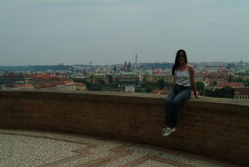 sighnomore profile photo