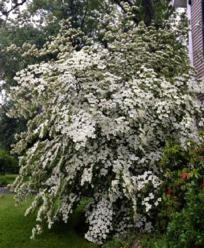 Bonkar profile photo