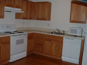 beachgirly profile photo