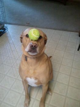 ValerieAnn30 profile photo