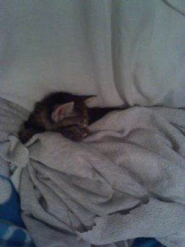 jackie93 profile photo