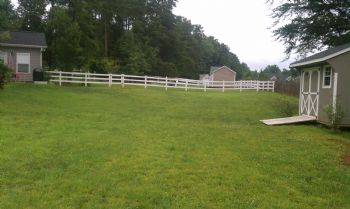 chani3 profile photo