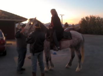 debranise profile photo