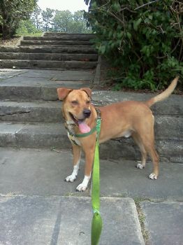 derby29 profile photo