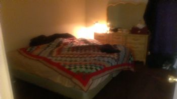 mfasken profile photo