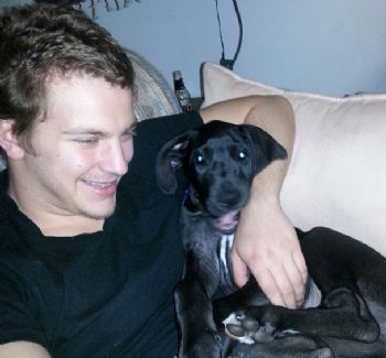 dthieshen profile photo