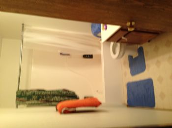 themalejorda profile photo