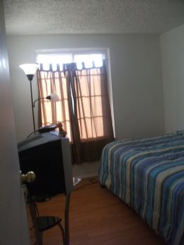 rentalpropag profile photo