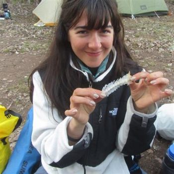 dale24 profile photo