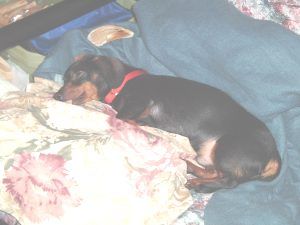 cdavis224 profile photo