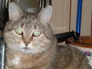 cdavis224 profile photo