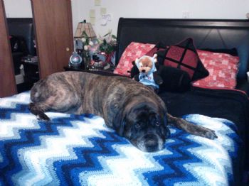 MashaDoll profile photo