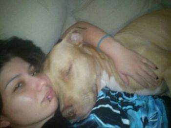 samuri profile photo