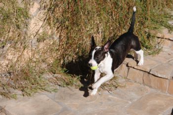 lyndsedge profile photo