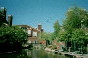 MightyFeas profile photo