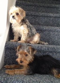 JessM0703 profile photo