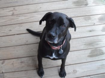 JoshKathryn profile photo