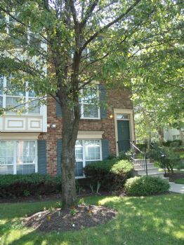 ggorgy profile photo