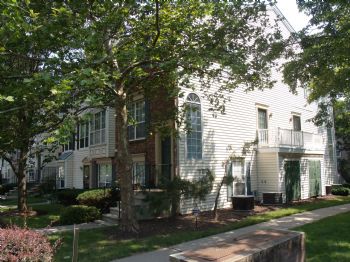 ggorgy profile photo