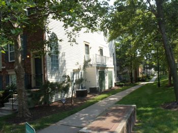 ggorgy profile photo