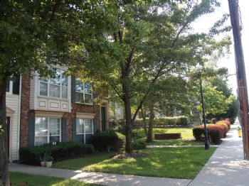 ggorgy profile photo