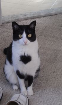 mollystacy12 profile photo