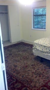 lee baria profile photo