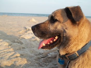 MelodyMS profile photo