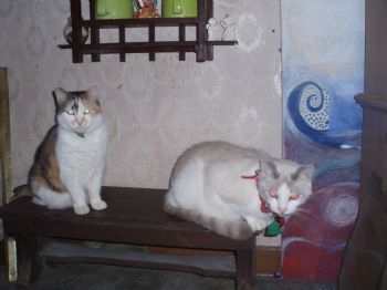 j.inoz1 profile photo