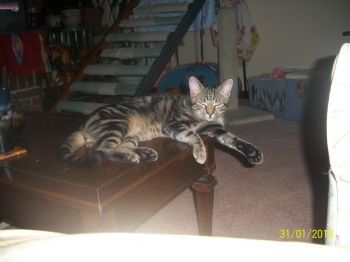 jordsn profile photo