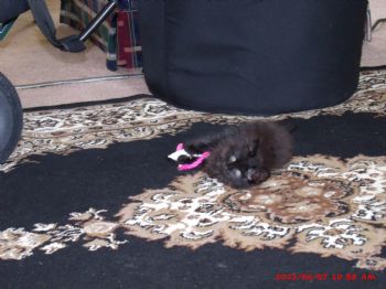 jordsn profile photo