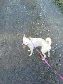 TonyOhio profile photo