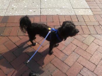 aubain2001 profile photo