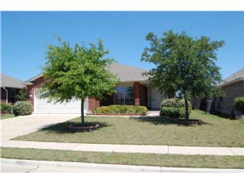 amsm110808 profile photo