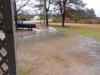 scottrob profile photo