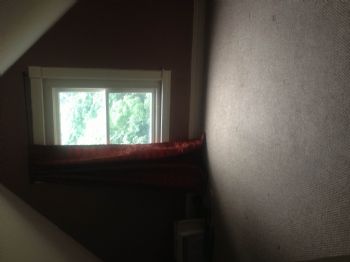 Sunsia13 profile photo