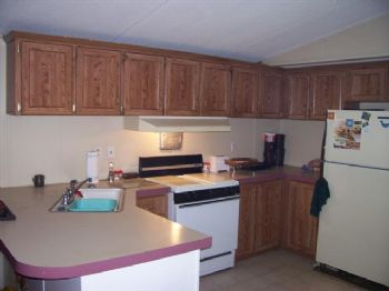 gaybobby profile photo