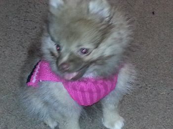 CoffeeLover profile photo