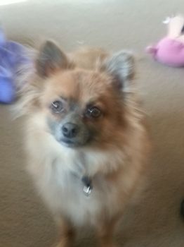 CoffeeLover profile photo