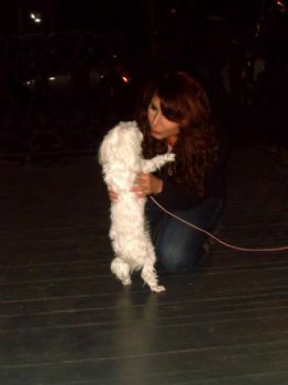 @gmSheree203 profile photo