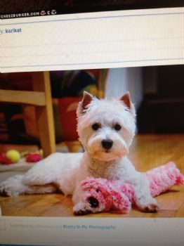 Hollyoak profile photo